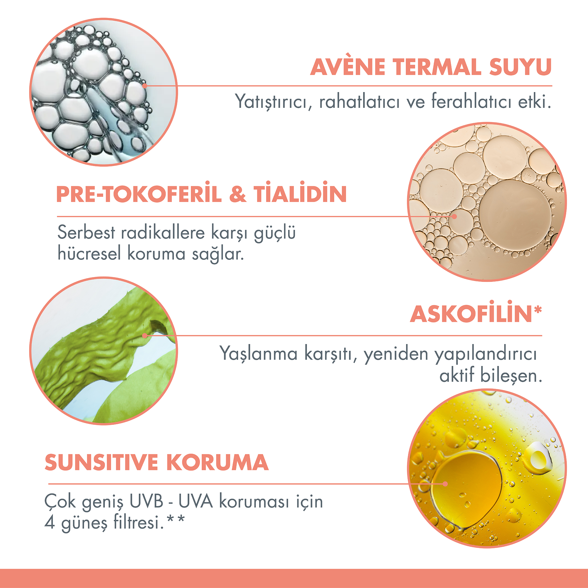 Avene Yaşlanma Karşıtı SPF 50+ Güneş Koruyucu 50 ml - Antioksidan Etkili, Gelişmiş UVA/UVB Koruması İçeren Yüz Güneş Kremi
