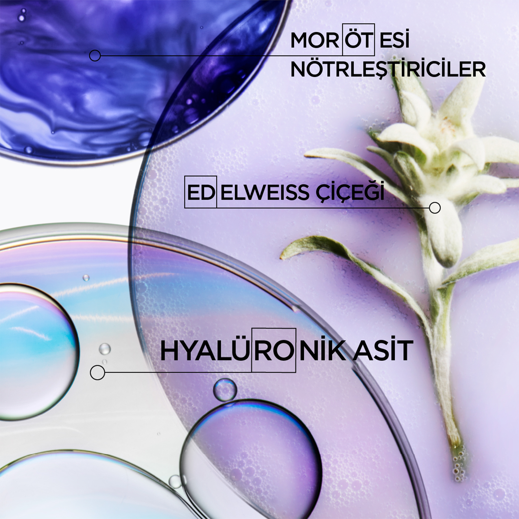 Kerastase Blond Absolu Bain Ultra-Violet İstenmeyen Turuncu Yansımaları Nötralize Eden Şampuan 250 ml - Sarımsı tonları düzelten, soğuk sarı ve beyaz tonlar elde etmeye yardımcı şampuan