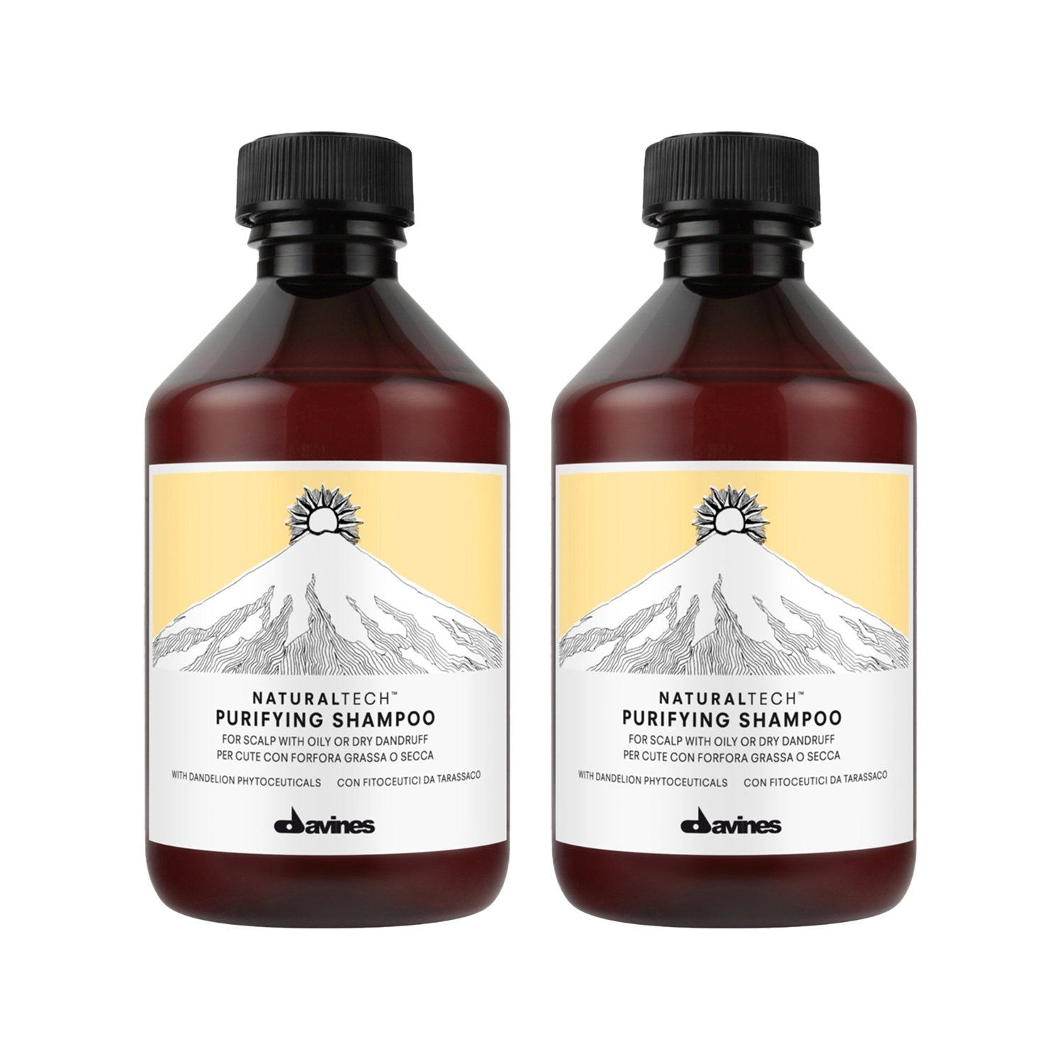 Davines Kepek Karşı Şampuan Bakım Seti