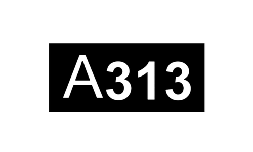 A313