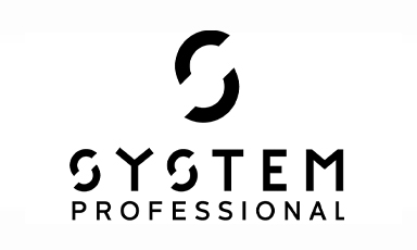 System Professional