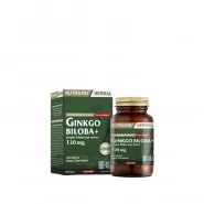 Nutraxin Ginkgo Biloba 60 Kapsül