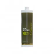 Organic Colour Systems 20 Volüm Aktivatör Oksidan %6 No:1 1000ml