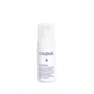 Caudalie Vinoperfect Işıltı Verici Mikro Peeling Temizleme Köpüğü 100 ml