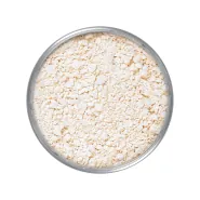 Kryolan Translucent Powder Transparan Pudra TL11 20 g