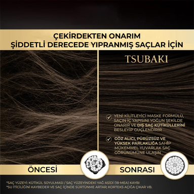 Japon salon bakımından ilham alan Tsubaki Premium Ex Repair Mask ile evde profesyonel saç onarımı ve ipeksi parlaklık.