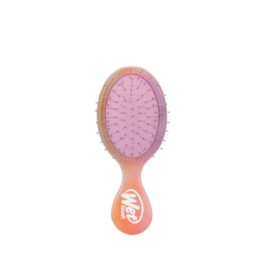 Wet Brush Mini Detangler Dolaşık Açıcı Saç Fırçası Afterglow