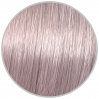 12.96 Sandre Viole