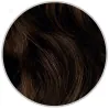 4D Golden Chestnut