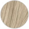 9N Honey Blonde