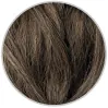 6N Dark Blonde
